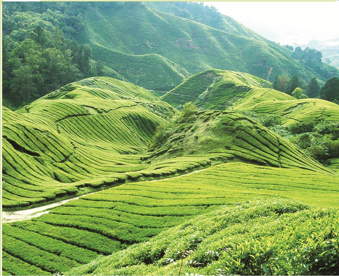 泡沫玻璃保溫板